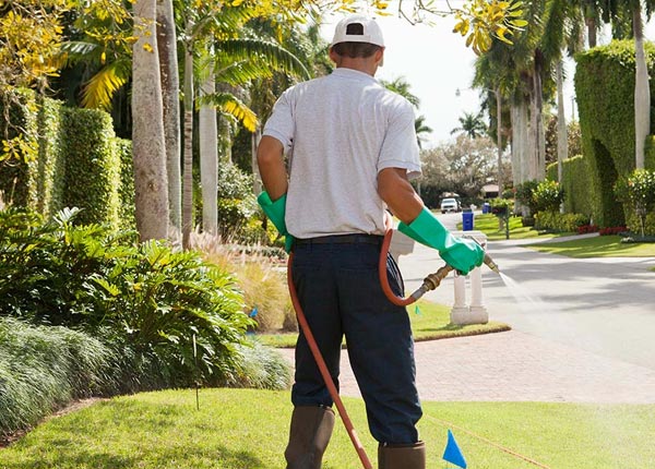 About Rosedale LA Pest Control
